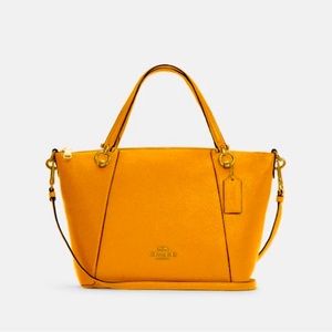 COACH SATCHEL/Crossbody handbag